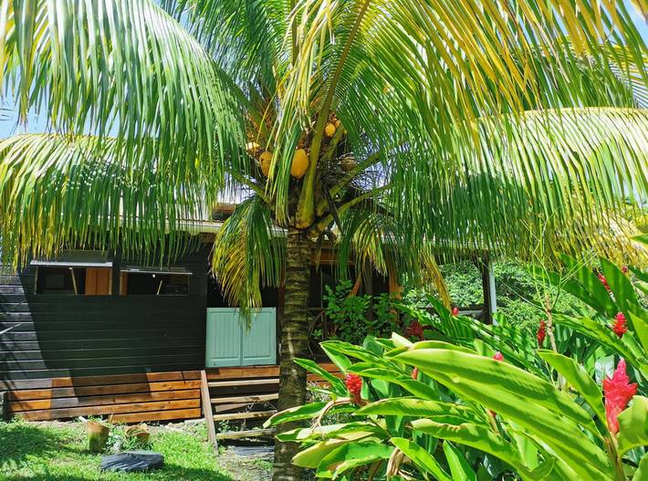 Bungalow pour 4 personnes, avec terrasse et jardin