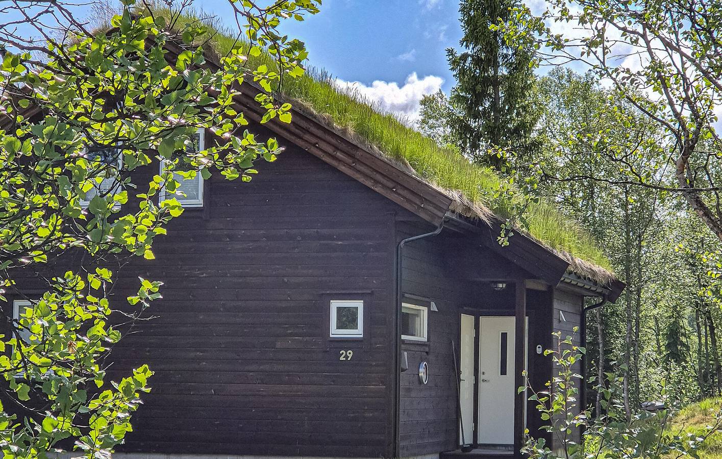 Feriehus for 8 personer med hage in Vinje 