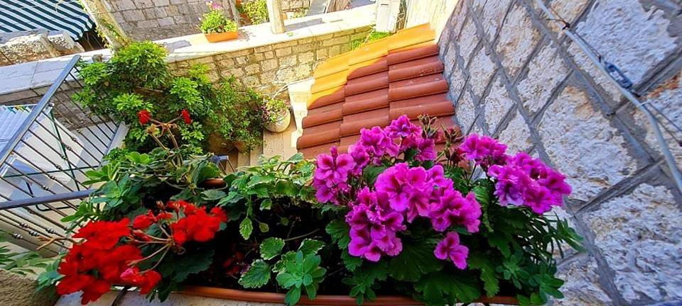 Bed & Breakfast Dionis Vis in Ville de Vis, Vis (Dalmatia)