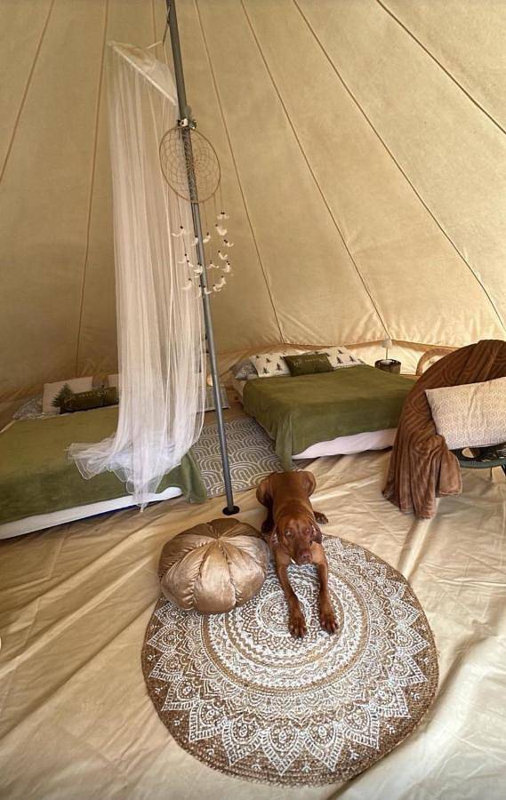 Hillside Bio Glamping in Prebold, Untersteiermark