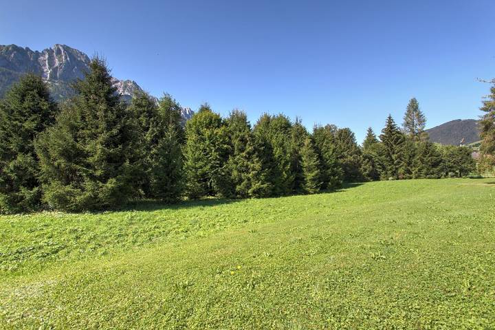 Gîte pour 4 personnes, avec terrasse, animaux acceptés à Rougemont - 3