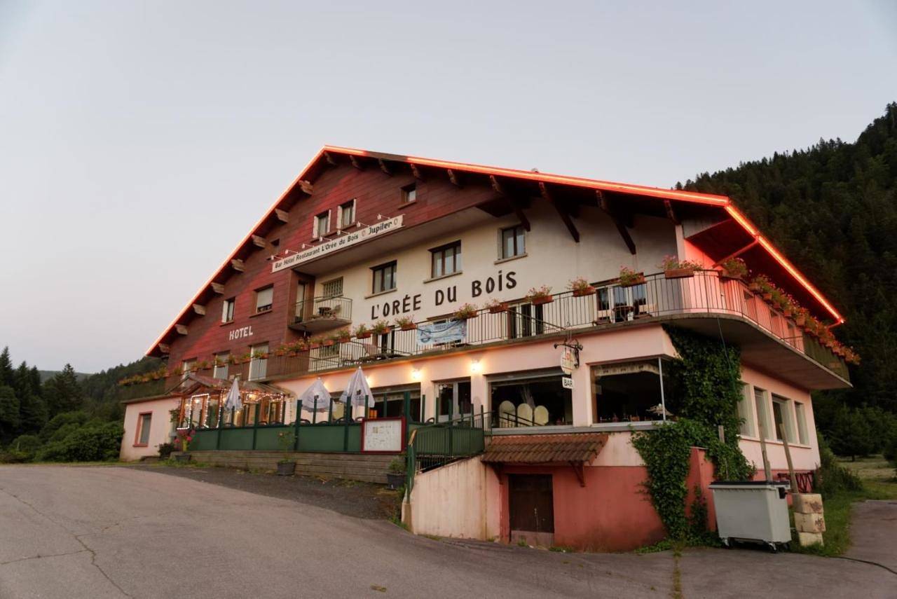 Hôtel L'Orée du Bois in Xonrupt-Longemer, Parc naturel régional des Ballons des Vosges
