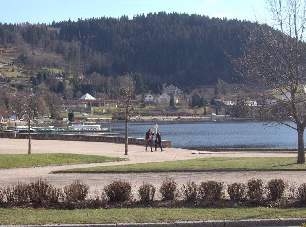 *** Proche du Lac - avec Jardin *** - 50 € / nuit - Chambre in Gérardmer, Parc naturel régional des Ballons des Vosges