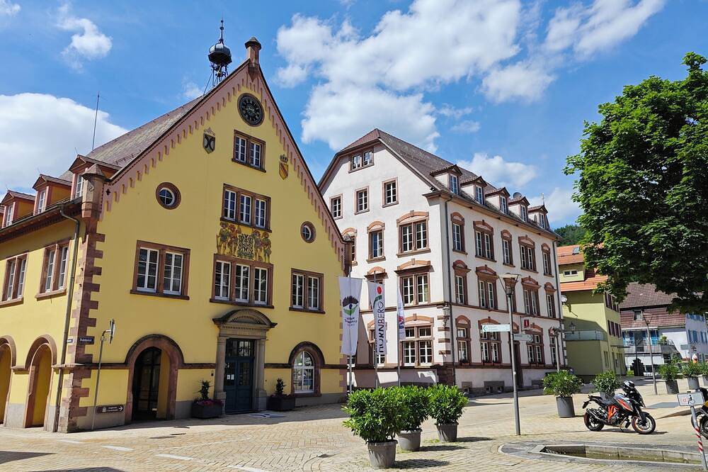 Ganze Wohnung, Schwarzwaldraum Schlossblick in Hornberg, Mittlerer Schwarzwald
