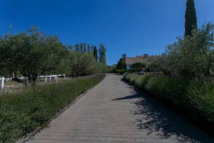 Chalet para 8 personas, con jardín además de piscina y vistas, Se admiten mascotas en Requena-Utiel - 3