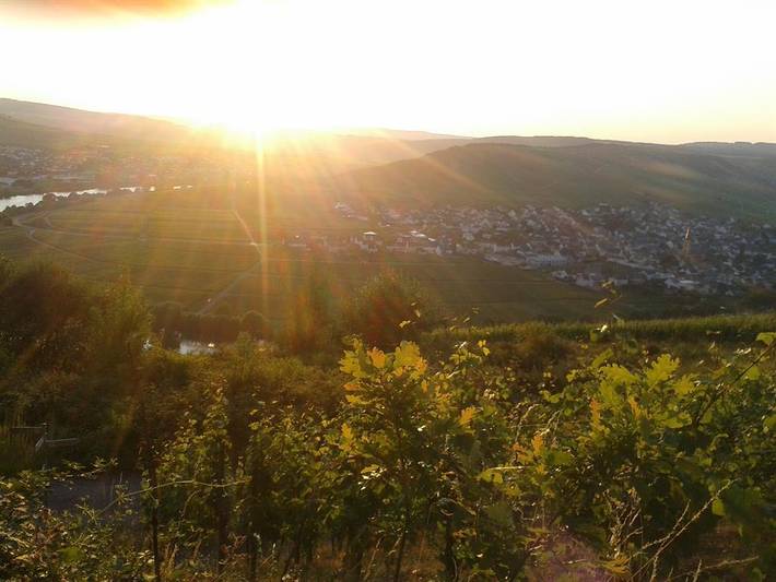 Bauernhaus für 3 Personen, mit Garten in Mosel-Saar - 3