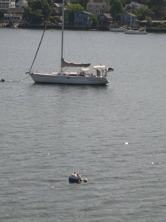 Labor Day zur Verfügung - Relax Swim eine Bootsfahrt Essen Sie zu viel Golf viel Spaß in Newport County