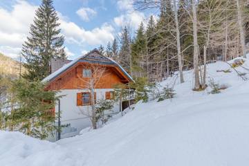 Ferienhaus für 5 Personen in Kranjska Gora, Julische Alpen, Bild 1