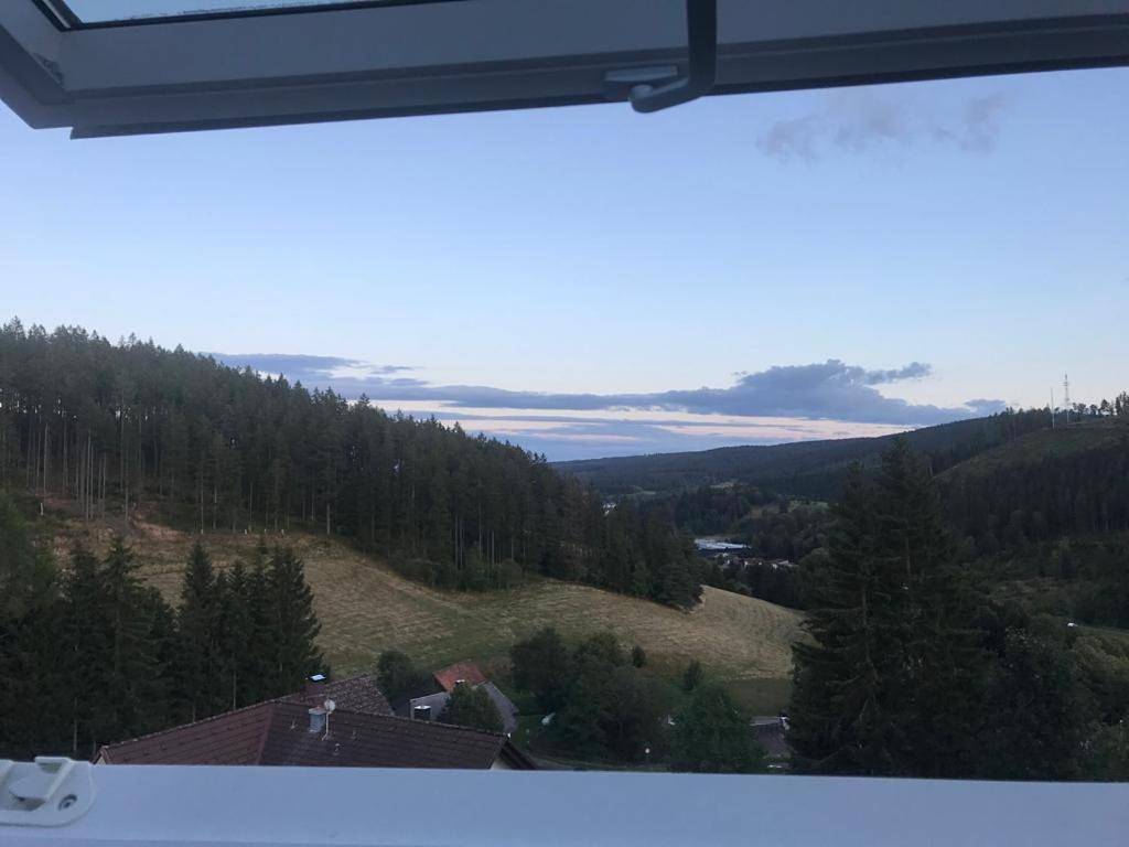 Triple Room with Shared Bathroom in Saig, Lenzkirch