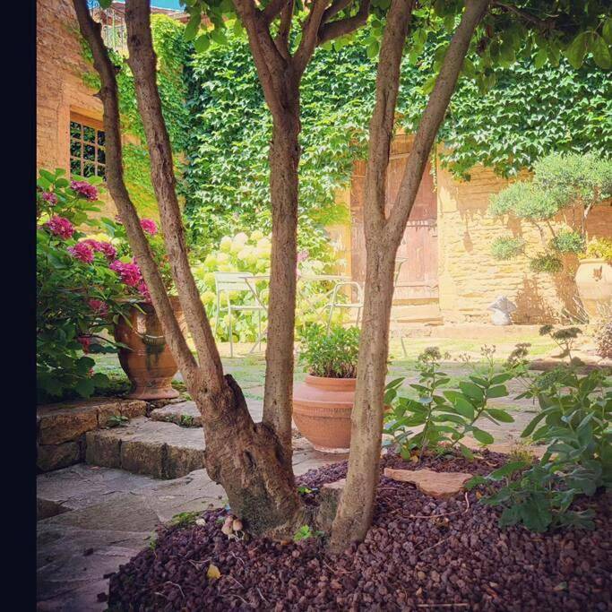 Gîte pour 6 personnes, avec jardin et vue à Pouilly-le-Monial - 4