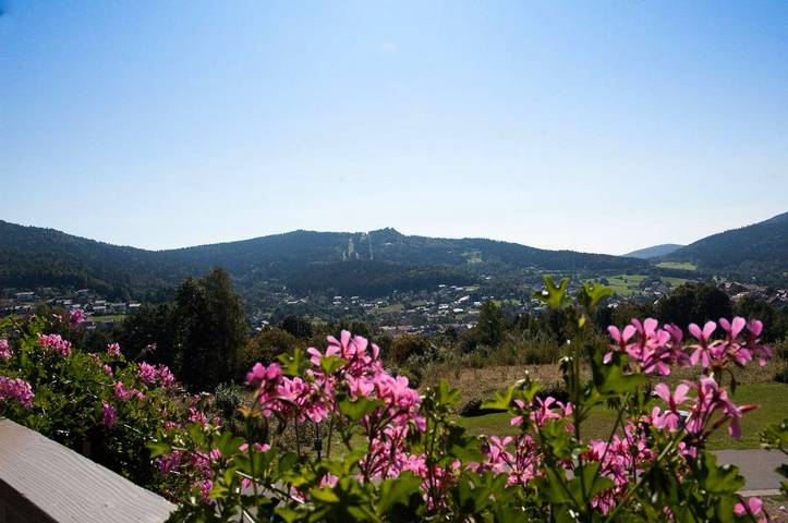 Ferienwohnung für 2 Personen, mit Balkon und Balkon/Terrasse sowie Terrasse und Garten in Bodenmais