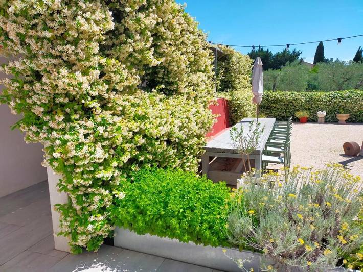 Maison d’hôte pour 3 personnes, avec piscine ainsi que jardin et vue à Maussane-les-Alpilles - 2
