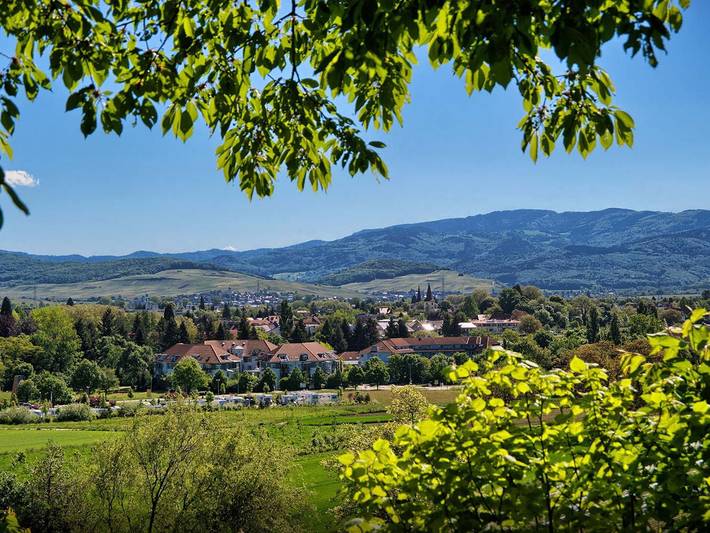 Ferienwohnung für 2 Personen, mit Garten und Terrasse in Bad Krozingen - 4