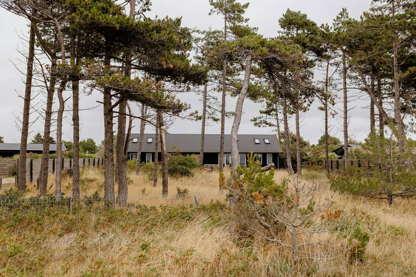 Ungetrübte Aussicht auf das Meer und die wilde Natur in Bjerge, Kalundborg und Umgebung