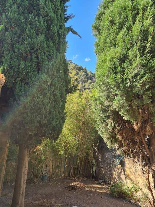 Location de vacances pour 4 personnes, avec jardin et vue, animaux acceptés à Robion - 3