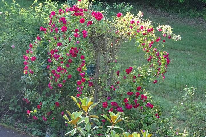 Gîte pour 4 personnes dans Saint-Genest