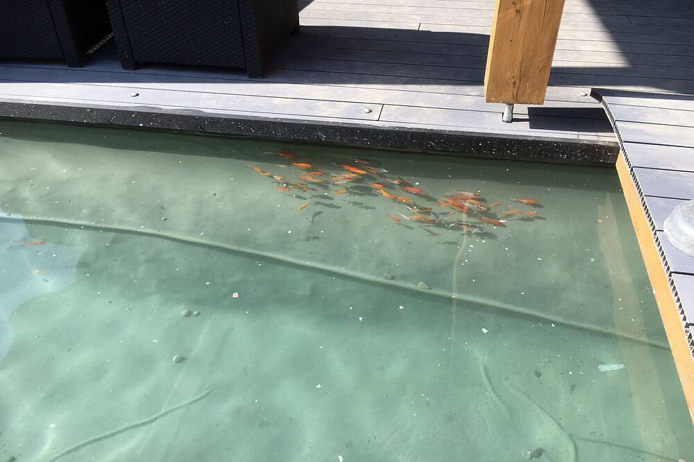 Apartamento entero, Tipo 1 Apartamento chalet. Totalmente equipada, aire acondicionado con piscina. Particular in Camaret-sur-Aigues, Vaucluse