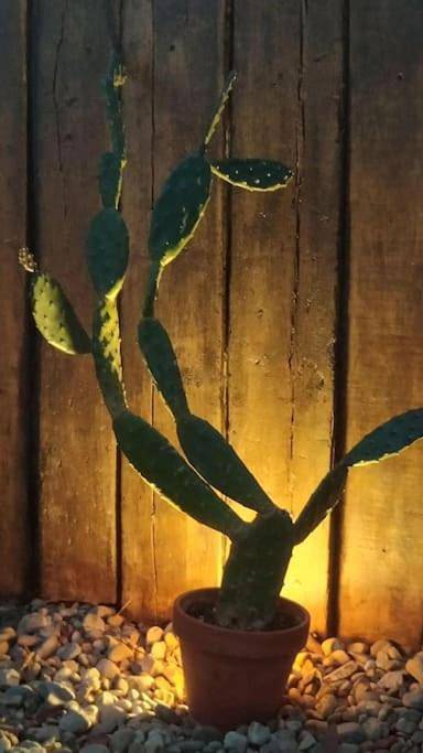 Casa rural para 2 personas, con jardín y vistas además de terraza y piscina, Se admiten mascotas en Provincia de Valladolid - 2