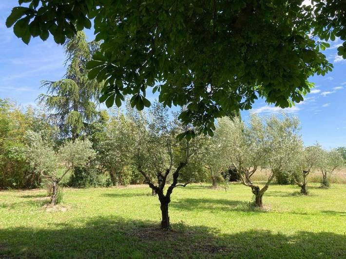 Location de vacances pour 10 personnes, avec jardin et terrasse à Oraison - 2