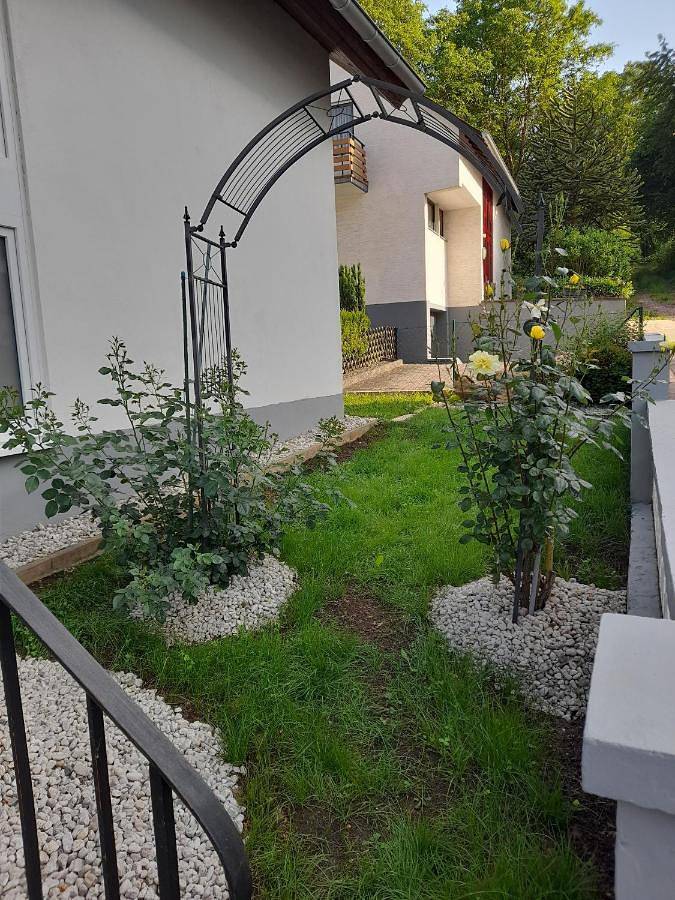 BnB für 2 Personen, mit Ausblick und Terrasse sowie Garten in Bernkastel-Kues - 3