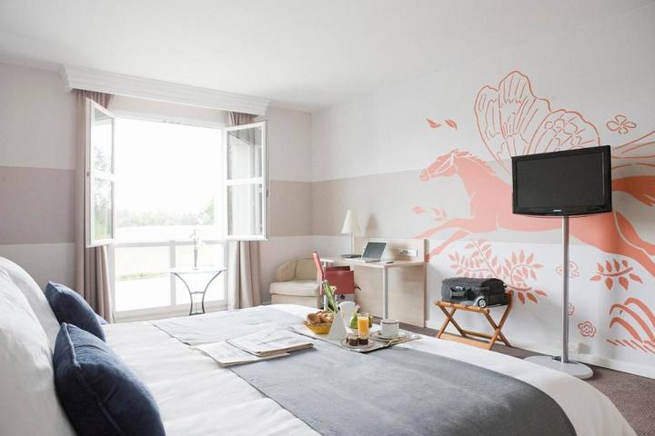 Hôtel pour 2 personnes, avec sauna ainsi que piscine et jardin, animaux acceptés à Vineuil-Saint-Firmin - 4