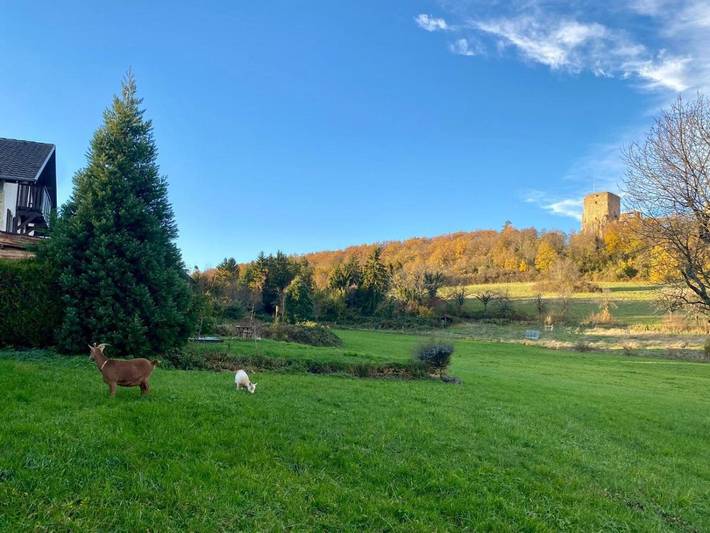 Maison d’hôte pour 10 personnes, avec piscine et jardin, animaux acceptés en Alsace