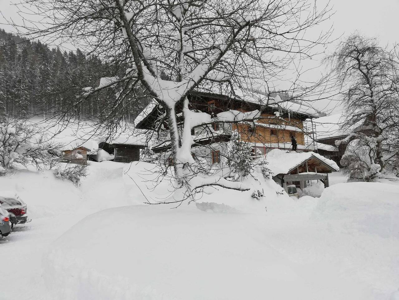 Payrhof - Familienurlaub am Bio-Bergbauernhof - Ferienwohnung Lammertal in Dachsteingebirge, Annaberg-Lungötz