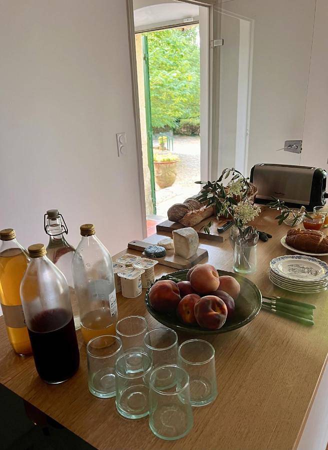 Maison d’hôte pour 2 personnes, avec vue et piscine ainsi que jardin et terrasse, animaux acceptés à Tarascon - 4