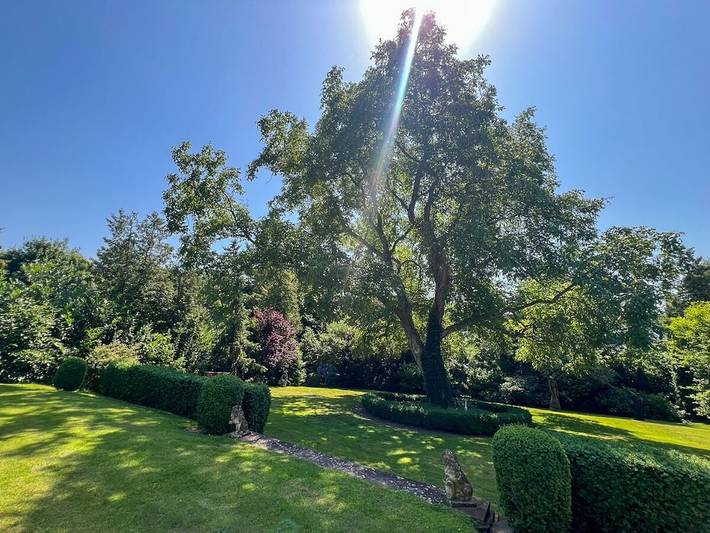 Bungalow für 2 Personen, mit Terrasse und Garten in Bad Doberan