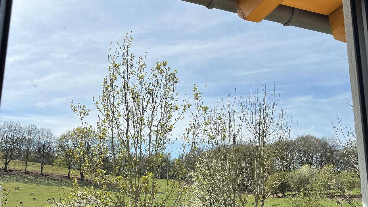 Apartamento vacacional entero, Ferienwohnung für 2 Personen (35 m²) in Wadern in Wadern, Saar-Nahe-Bergland