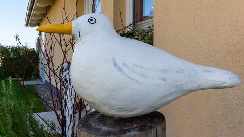 Ferienwohnung für 2 Personen, mit Terrasse, mit Haustier in Parchtitz - 3