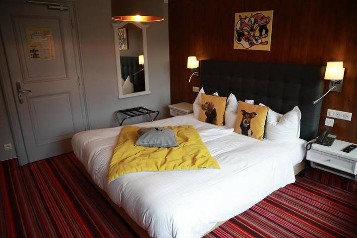 Hôtel pour 4 personnes, avec sauna et jardin à Marlenheim - 3