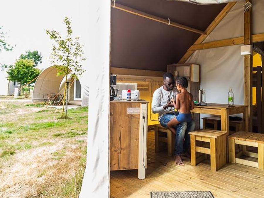 Domaine de L'Oiselière - Bungalow toilé 4 personnes - Lodge 21m² (sans sanitaires privatifs) 2/5 pers in Chauché, Vallée de la Loire