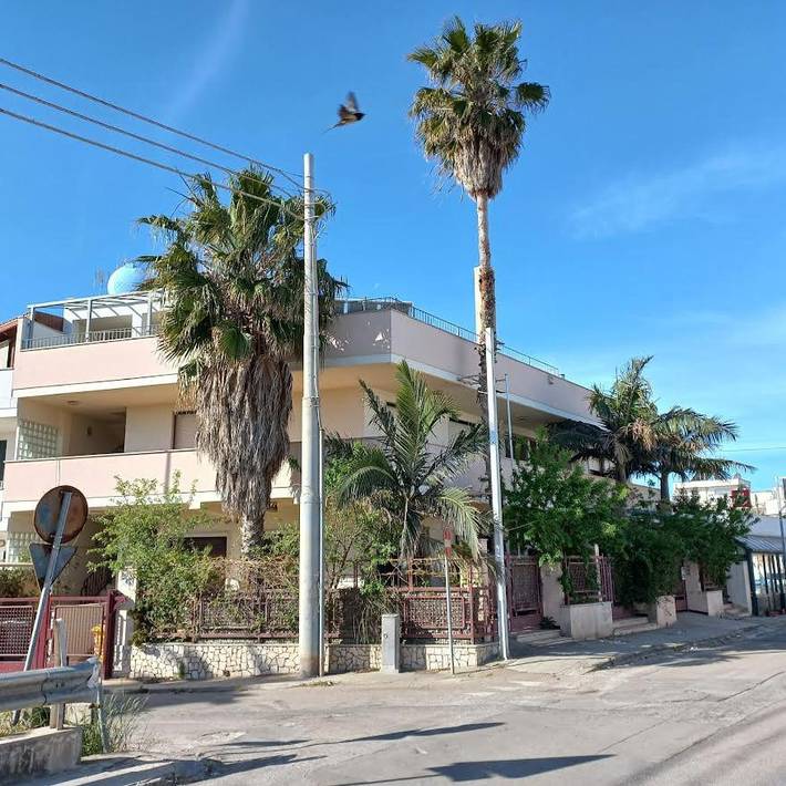 Apartamento de vacaciones para 4 personas, con jardín y vistas - 1