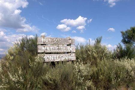 Maison de campagne pour 25 personnes, avec vue ainsi que jardin et balcon dans Vinhais - 4