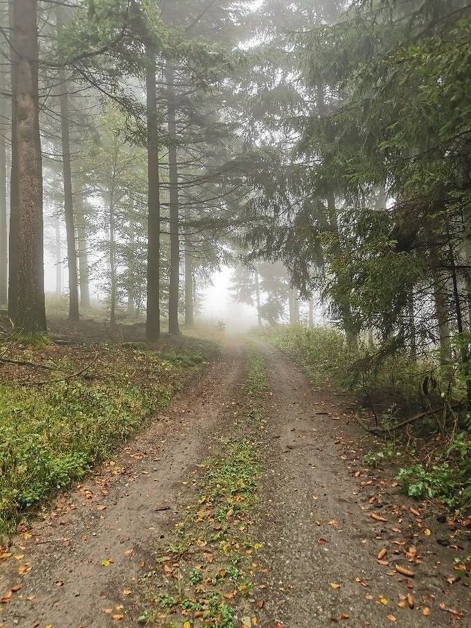 Ferienwohnung für 3 Personen in Diemelsee - 2