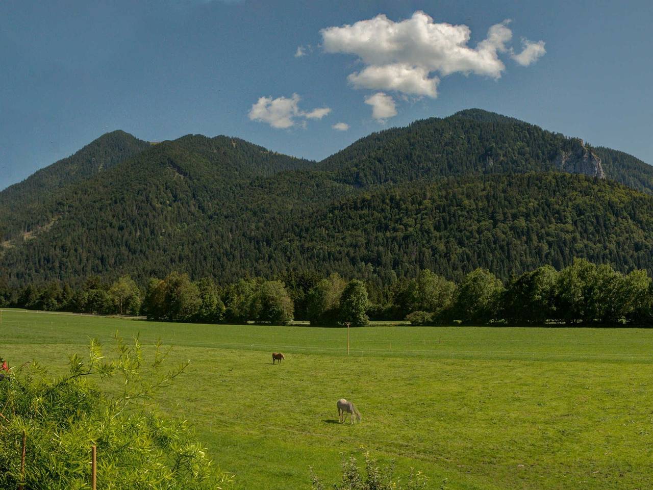 Ferienwohnung Fleischhackerhof, Kreuth-Scharling in Kreuth, Bayerische Alpen