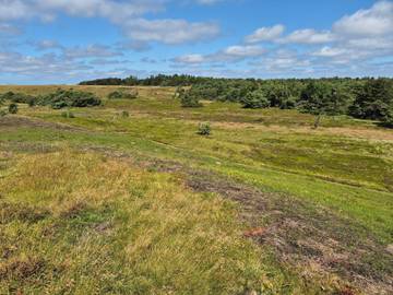 Ferieudlejning til 6 Personer i Vejby Strand, Vejby, Billede 1