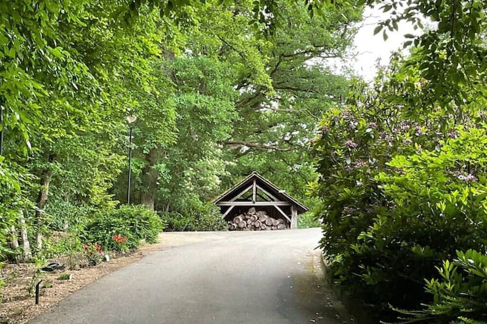 Ganze Wohnung, Etzauer Mühle-Mensch-Zeit-Pferd, Weilrod in Gemünden, Weilrod