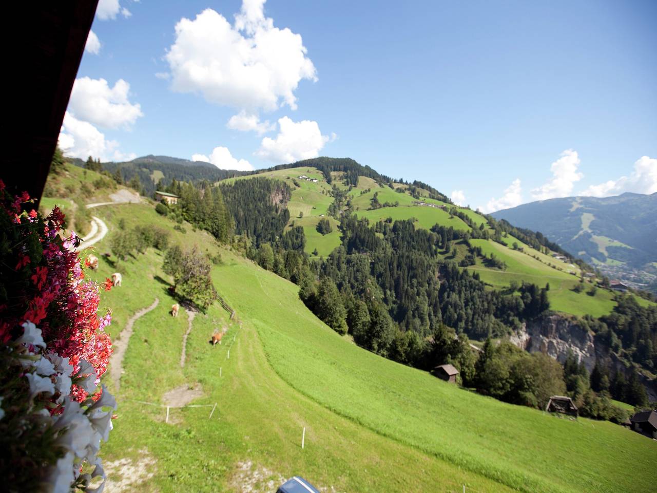 Entire apartment, Spacious Apartment in Sankt Johann im Pongau with Garden in Sankt Johann im Pongau, Ski Amadé