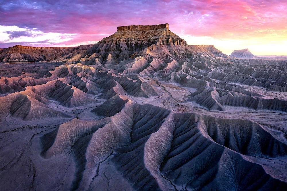 La Maison De Rose En Provence in Le Pontet, Vaucluse