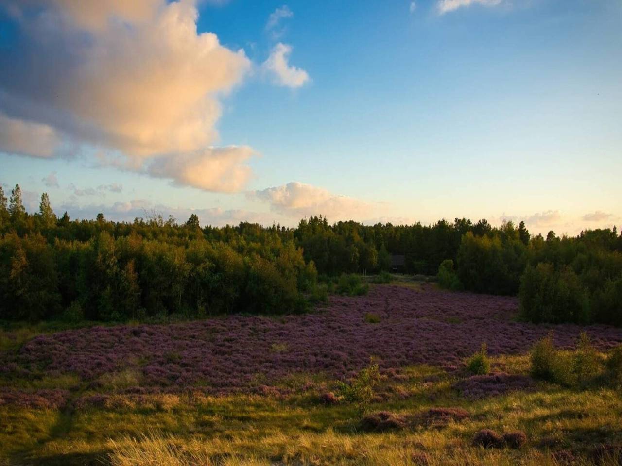 Luxurioses Refugium auf Romo -- By Traum Ferienwohnungen in Sønderstrand, Tagholm