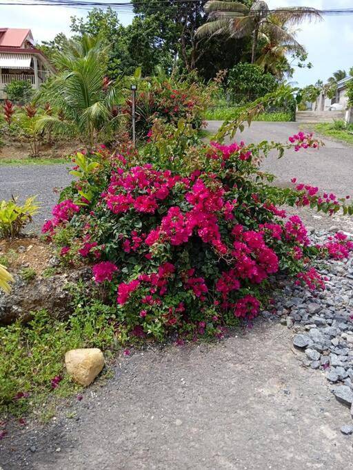 Gîte pour 4 personnes, avec jardin ainsi que terrasse et piscine à Petit-Bourg - 3