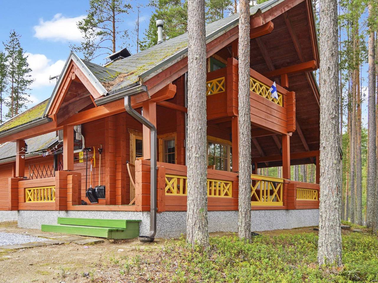 Villa käpytikka in Nordkarelien