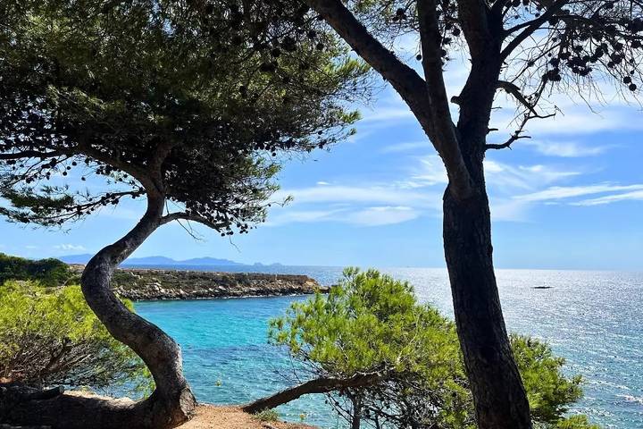 Camping für 4 Personen, mit Pool und Terrasse, mit Haustier in Martigues - 2