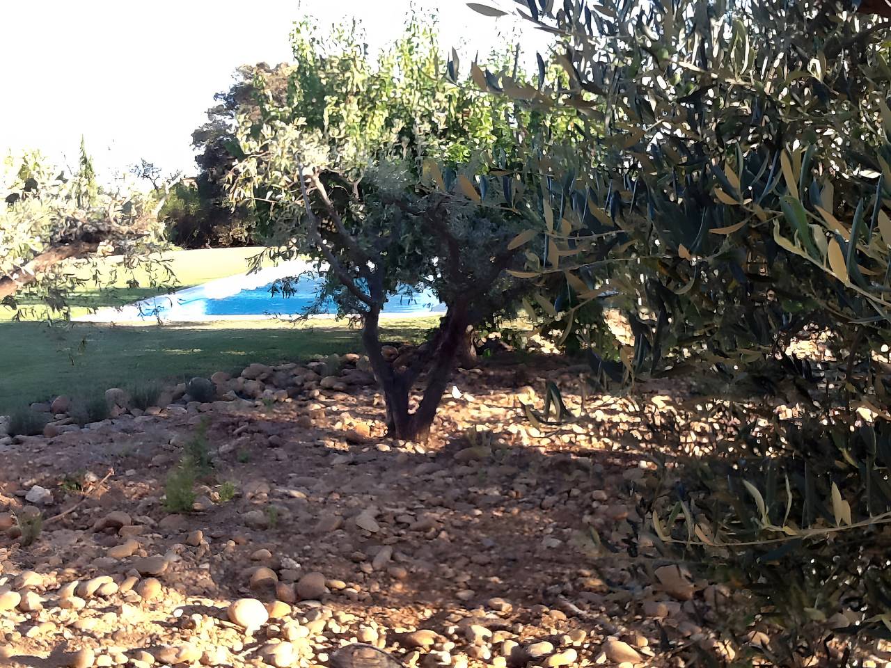 Bed and Breakfast 'Provence' mit gemeinsamer Terrasse, gemeinsamem Garten und Wlan in Estézargues, Nimes und Umgebung