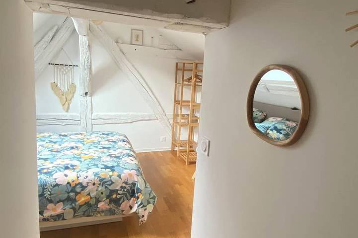 Location de vacances pour 2 personnes, animaux acceptés dans Château d'Amboise - 2