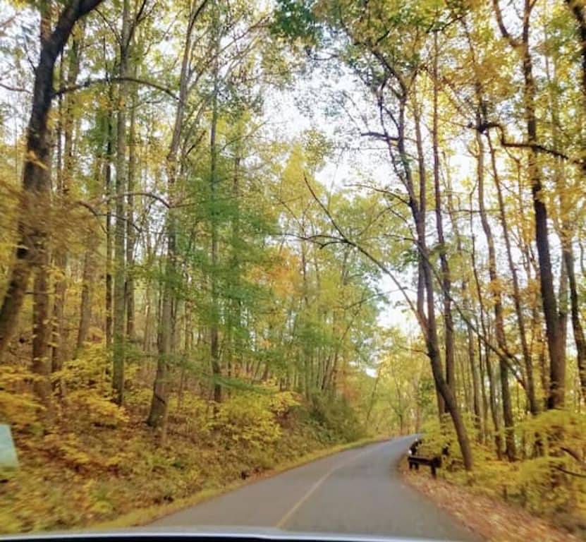 Ganze Wohnung, Wintergreen Resort Home With Blue Ridge Views in Wintergreen, Nelson County