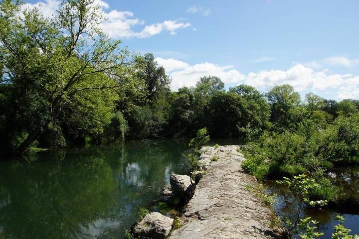 Gîte pour 2 personnes, avec vue ainsi que jardin et piscine, animaux acceptés à Goudargues - 4