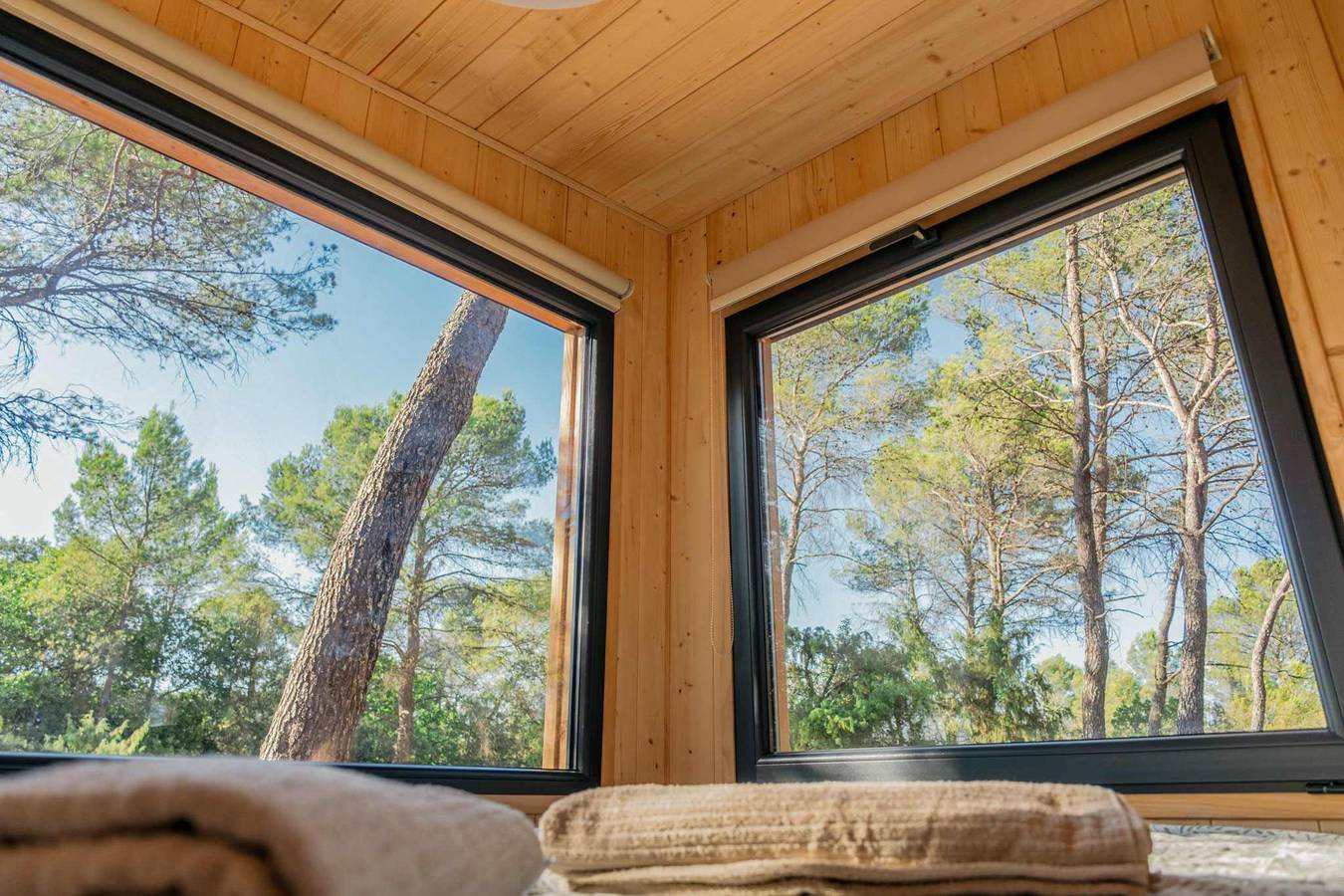 ※ Homnest ※ Flânerie Provençale ※ Saveurs du Sud  in Le Luc, Draguignan region